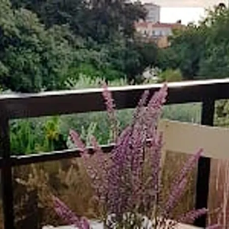Confortable à Nice, 25 M² Avec Piscine Partagée Nice